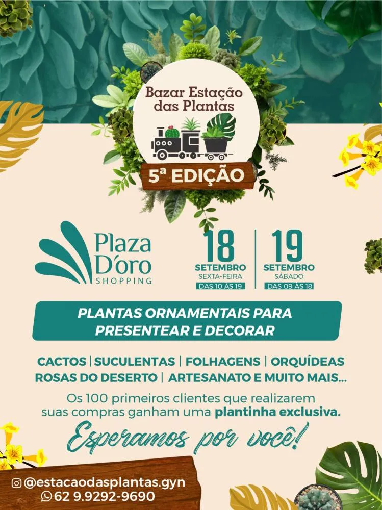 Bazar Estação das Plantas reúne espécies ornamentais e artesanato neste fim de semana em Goiânia