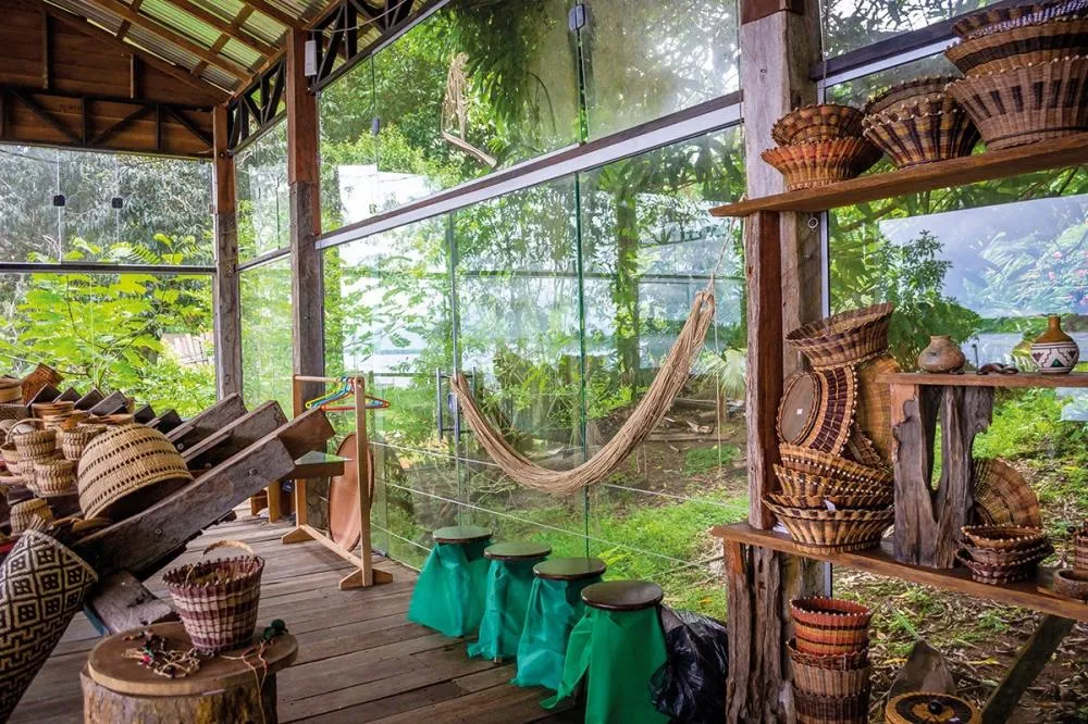 Ecoturismo ganha espaço no Brasil e destaca experiências na Amazônia