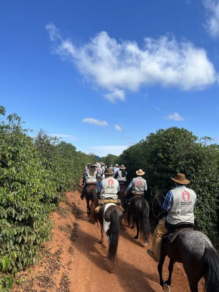 Borda da Mata recebe cavalgada que une fé, tradição e turismo rural